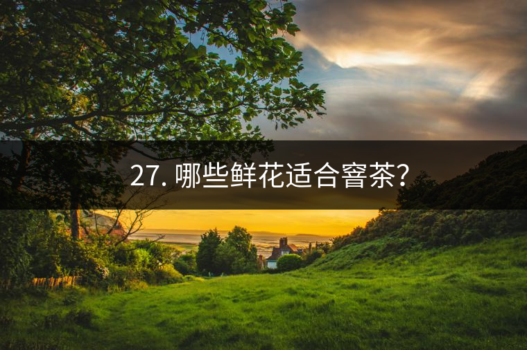 ? 27. 哪些鮮花適合窨茶？