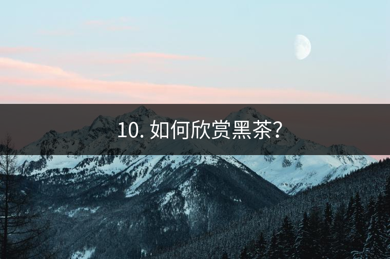 ? 10. 如何欣賞黑茶？