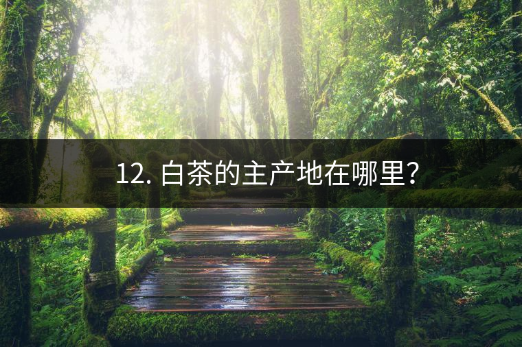 ? 12. 白茶的主產(chǎn)地在哪里？