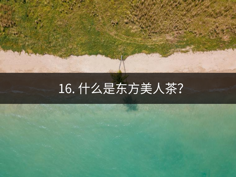 ? 16. 什么是東方美人茶？