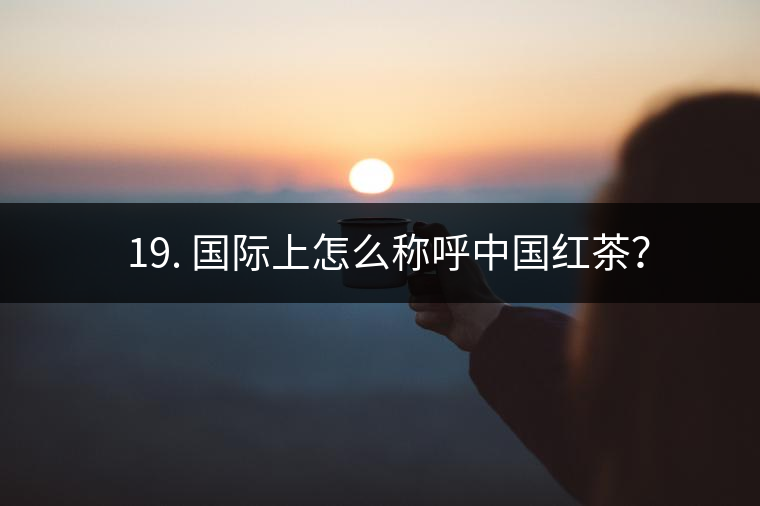 ? 19. 國際上怎么稱呼中國紅茶？
