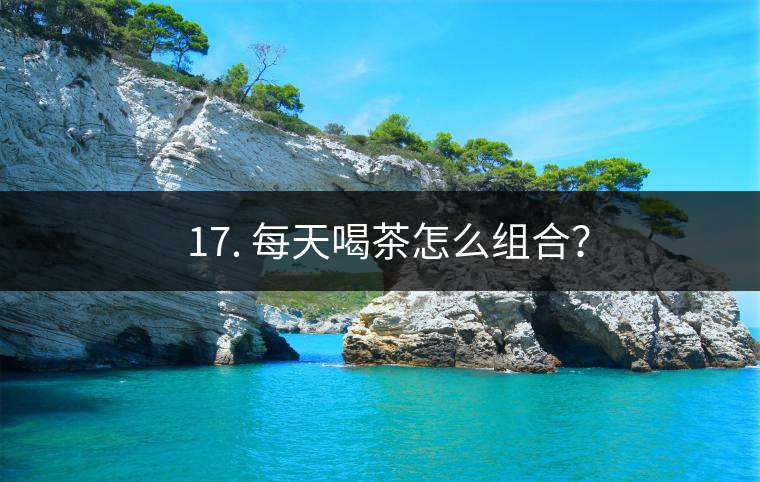 ? 17. 每天喝茶怎么組合？