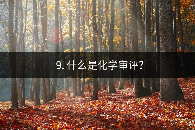 ? 9. 什么是化學審評？