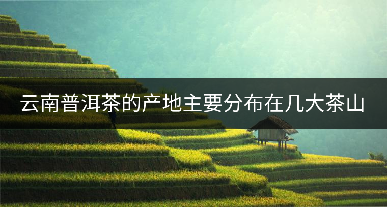 云南普洱茶的產(chǎn)地主要分布在幾大茶山，普洱茶古茶山以瀾滄江為界劃分為