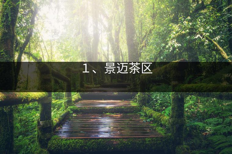 4、易武茶區(qū)
? 4、易武茶區(qū)
?