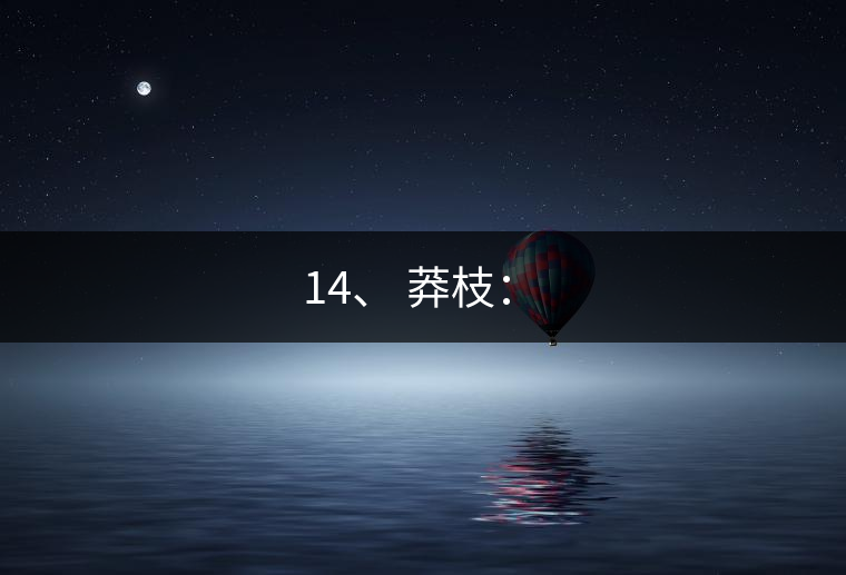 14、 莽枝：?