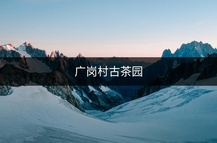 廣崗村古茶園