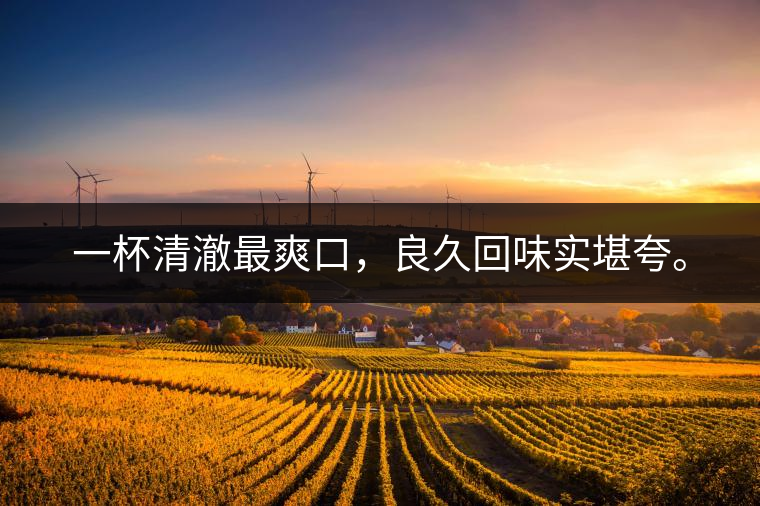 若能一日車船至，從此美名滿天涯。