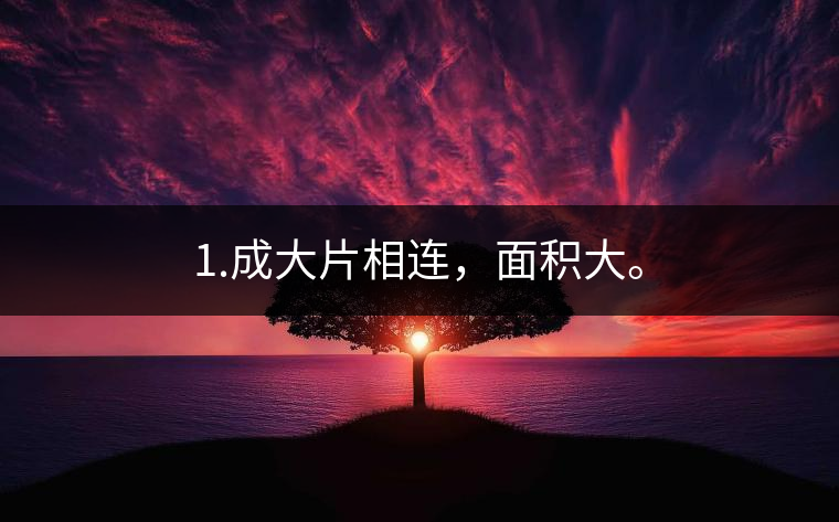 1.成大片相連，面積大。