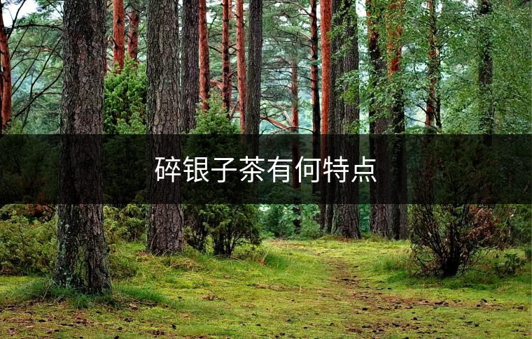 碎銀子茶有何特點(diǎn) 碎銀子茶有何特點(diǎn)