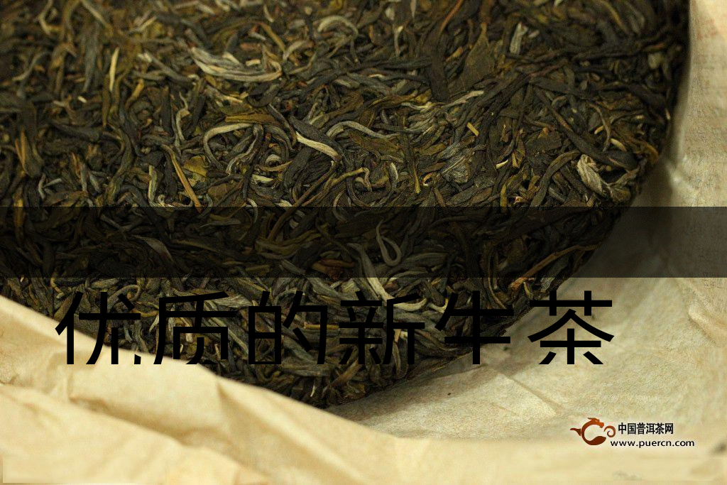 優(yōu)質(zhì)的新生茶是什么樣的？