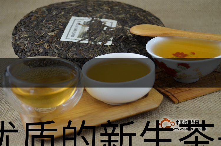 優(yōu)質(zhì)的新生茶是什么樣的？-1