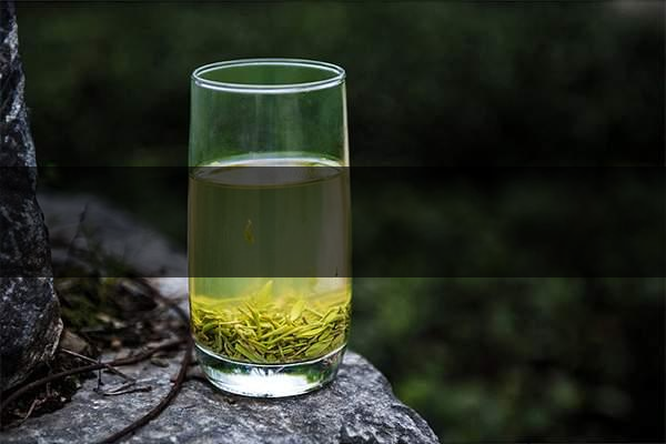 pick春茶攻略！