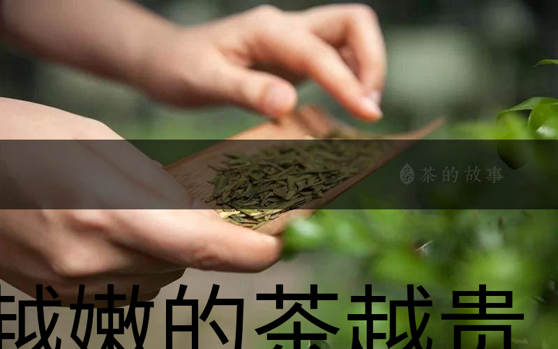 越嫩的茶越貴，但越貴的茶就越好嗎？