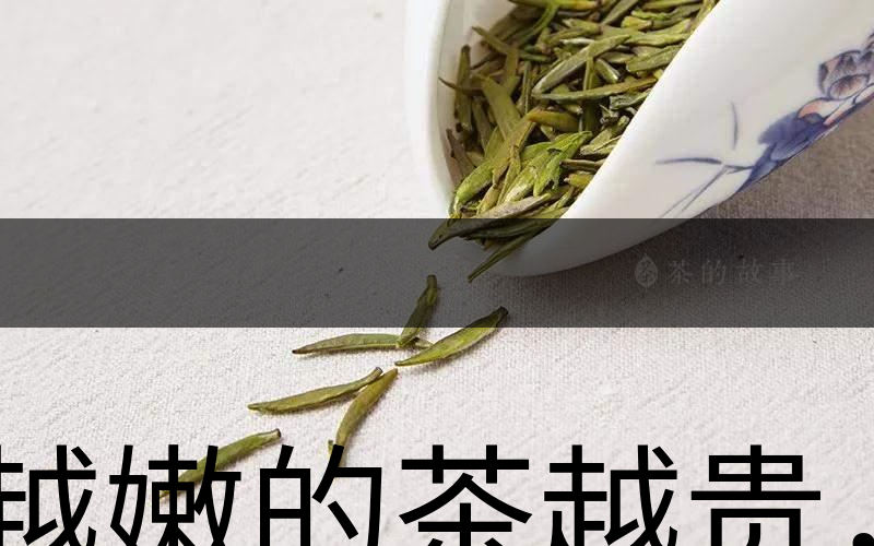 越嫩的茶越貴，但越貴的茶就越好嗎？-1