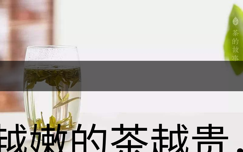 越嫩的茶越貴，但越貴的茶就越好嗎？-2