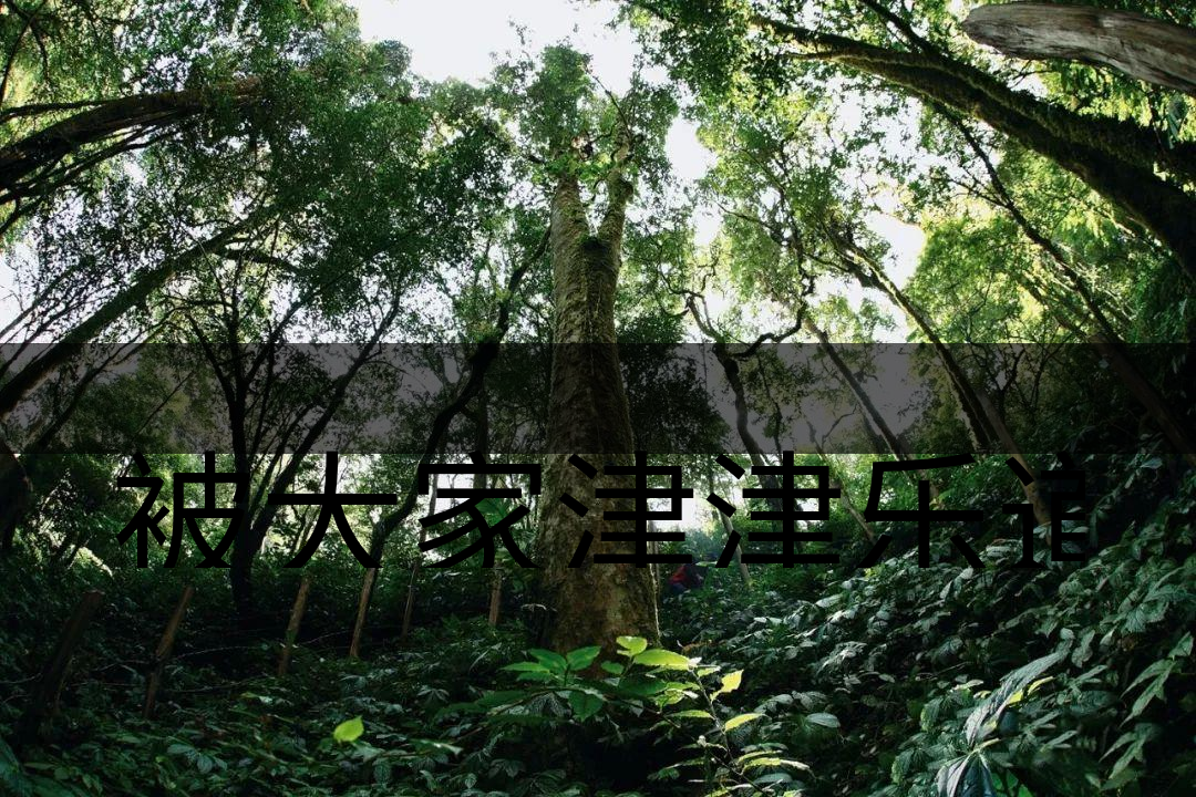 被大家津津樂道的森林茶，你知道是什么？-6-1