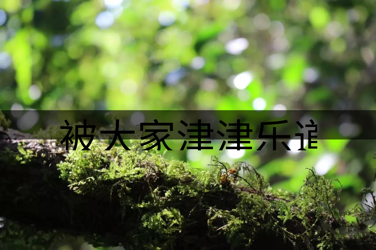 被大家津津樂道的森林茶，你知道是什么？-8-1