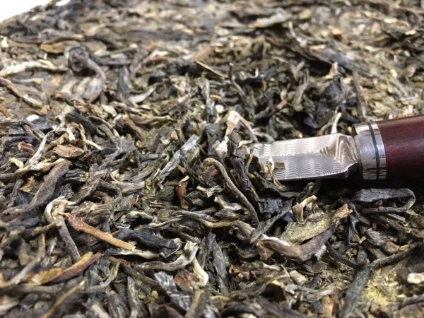 怎么樣泡好落水洞普洱茶？