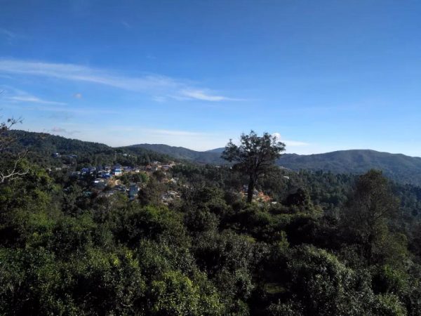 蘭香賀開，甘甜賀開