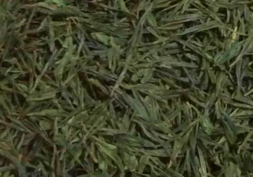 什么是海青茶？沖泡手法詳細(xì)教學(xué)！