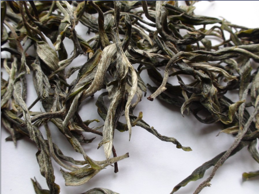 2021年馬鞍山古樹秋茶價格？