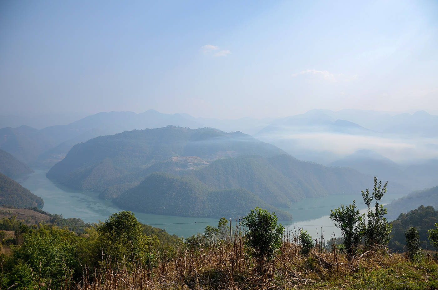 2021年白鶯山古樹秋茶，佛茶有什么魅力？