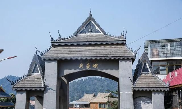 2021年老曼峨古樹秋茶特點？