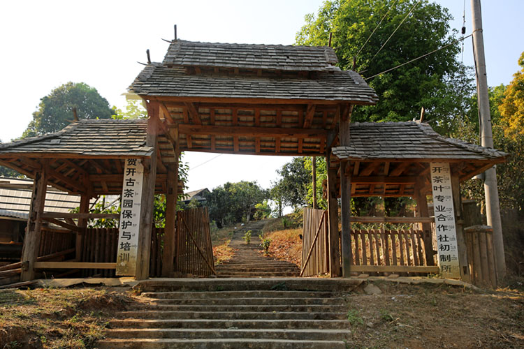 2021年賀開古樹秋茶特點(diǎn)？