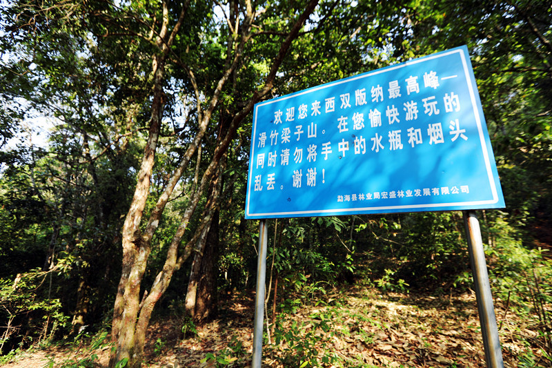 2021年滑竹梁子古樹秋茶價格？