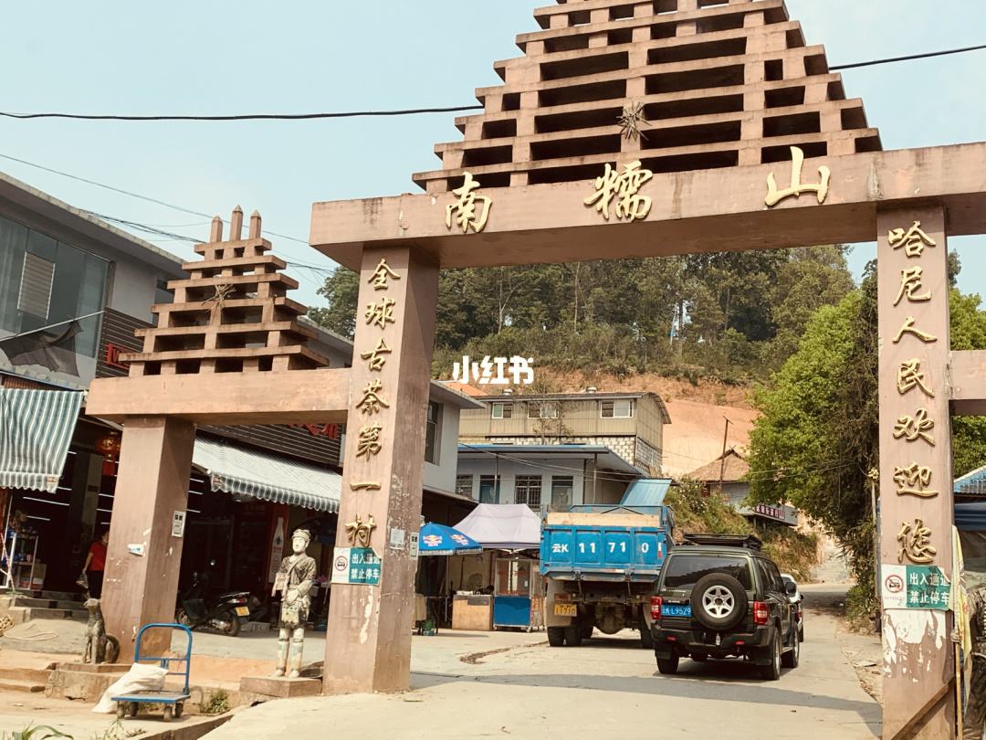 2021年南糯山半坡老寨古樹(shù)秋茶多少錢(qián)一公斤？