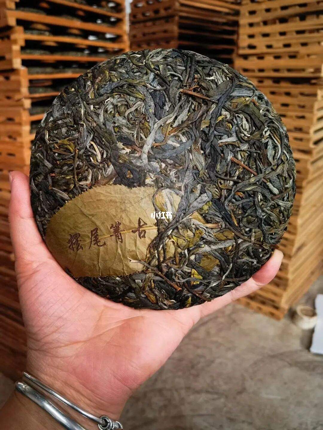 2022年寧洱 擺尾箐古樹春茶價格？