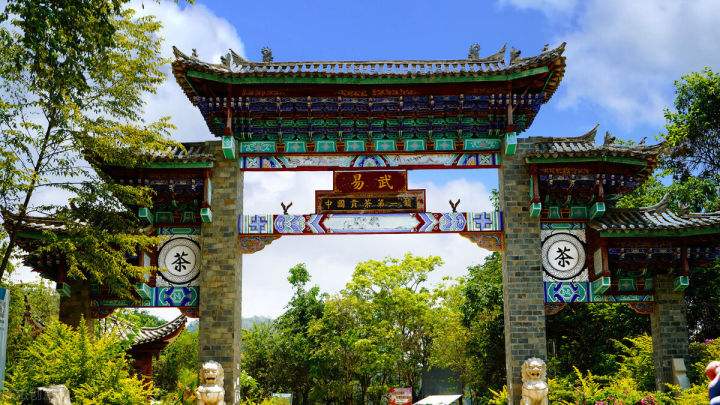 2022年易武正山在哪？易武正山是什么意思？