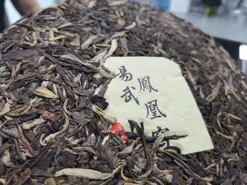 2022年鳳凰窩古樹(shù)高桿，鳳凰筑巢的地方