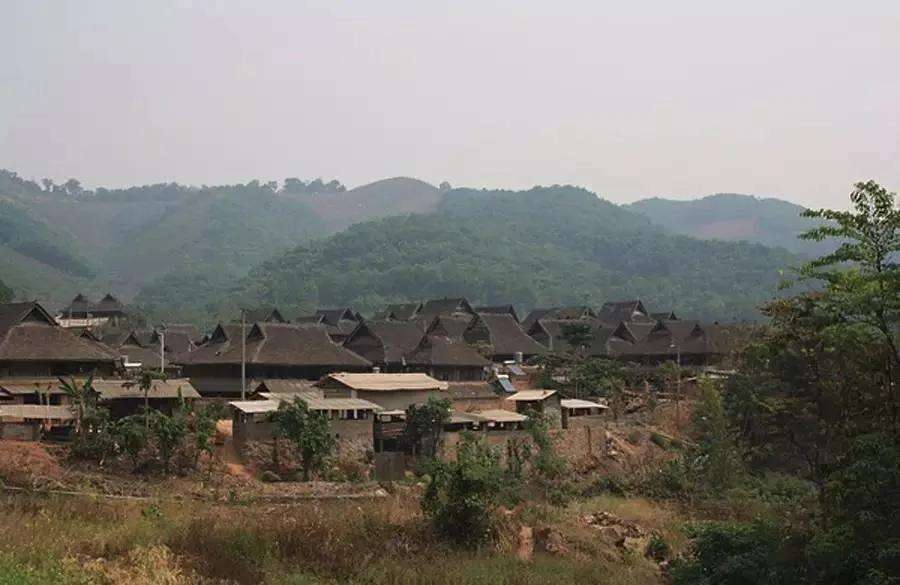 2022年革登古樹(shù)春茶特點(diǎn)？