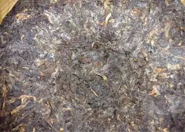 2022年普洱茶受潮發(fā)霉了怎么辦？