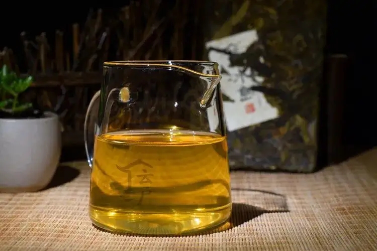 有茶油的普洱茶正常嗎？茶油是如何形成的？