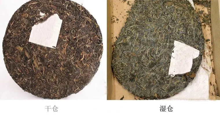 普洱茶怎么分辨干濕倉？