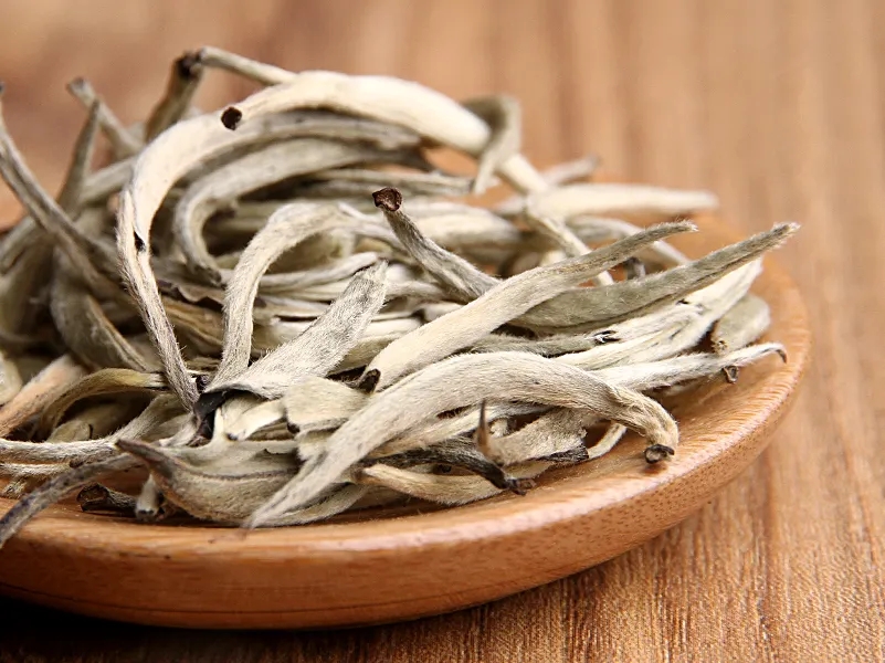 福鼎白茶、安吉白茶、云南月光白“三白”的區(qū)別