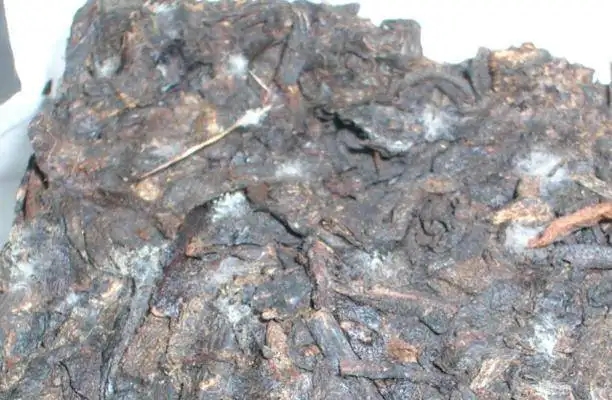 ?普洱茶發(fā)霉了怎么辦？教你妙招應對發(fā)霉的普洱茶！