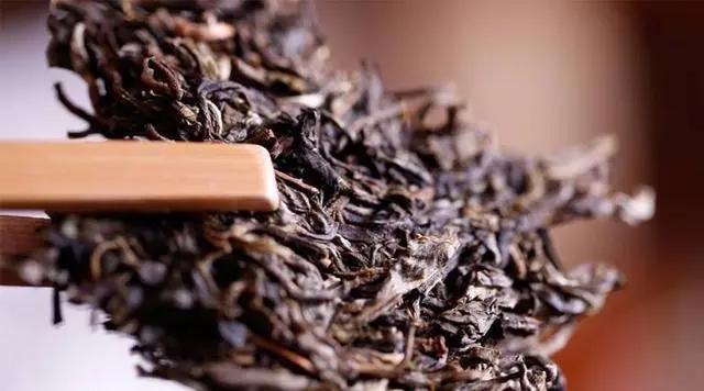 普洱生茶好還是普洱熟茶好喝？如何挑選適合自己的普洱茶？