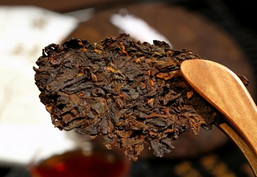 普洱茶生津、回甘、滋味、口感是怎么回事？丨實(shí)用