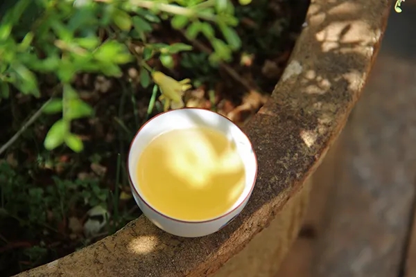 普洱茶越苦澀就代表品質(zhì)越好嗎？