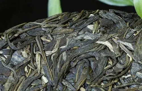 喝普洱茶，一定要喝老茶嗎？