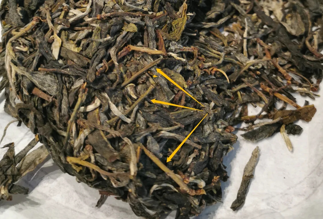 普洱茶的葉底有茶梗，就是茶不好嗎？