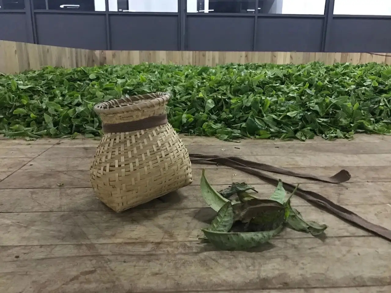 普洱茶，如果不談山頭，我們談什么？