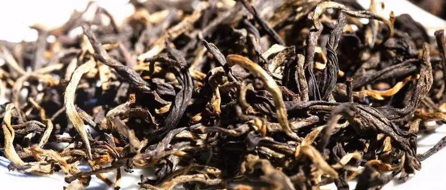 什么是茶氣？茶氣強勁又是一種怎樣的體驗？