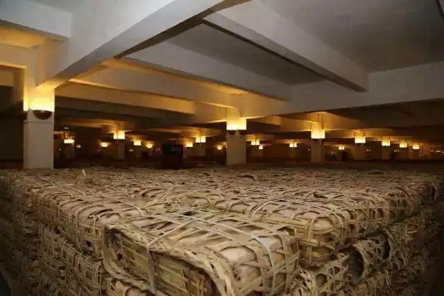 云南古樹普洱茶好在哪？相比小樹茶、臺地茶有何不同？