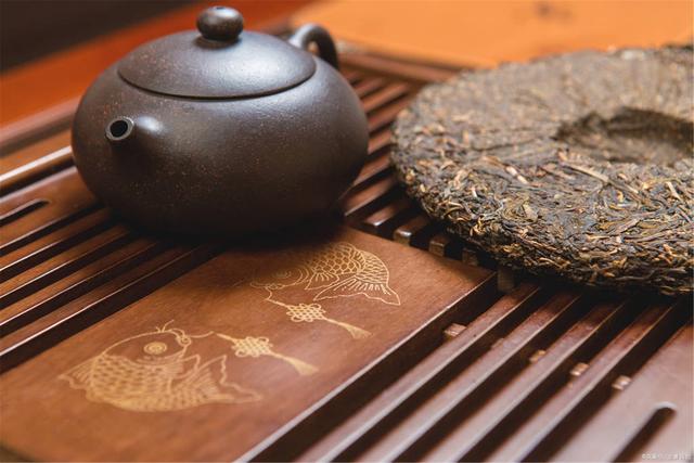 為什么你買(mǎi)不到好的古樹(shù)普洱茶？買(mǎi)茶防坑指南，看完就有收獲！
