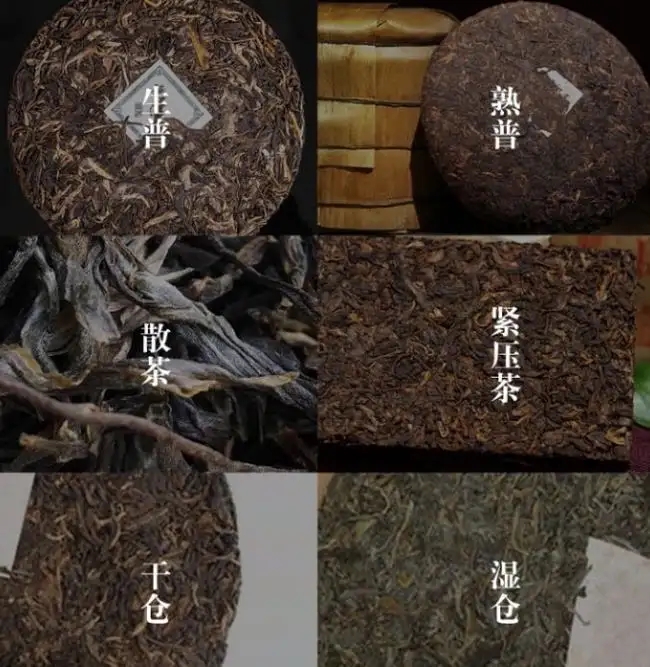 普洱茶不是越陳越香嗎？怎么也有最佳品飲期？